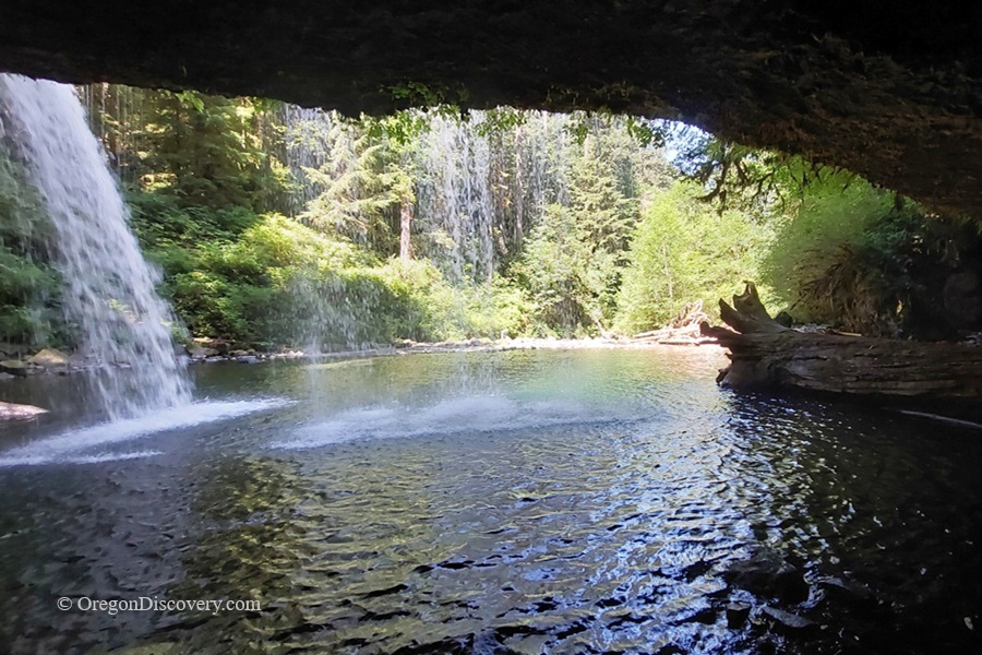 Upper Butte Creek Falls Oregon – Upper Butte Creek Falls Behind the Falls Upper Butte Creek Falls Oregon: The picture "Upper Butte Creek Falls Behind the Falls" shows a view from underneath a rocky overhang behind the waterfall, looking out at a lush forest and the flowing creek with sunlight shining through the trees and water cascading to the pool below.
