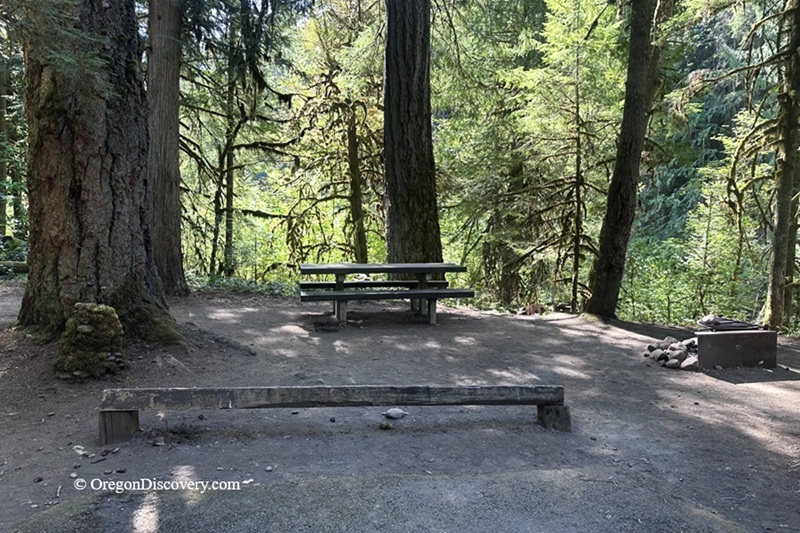Blue Pool Campground and Day-Use at Salt Creek in Oregon – Blue Pool Picnic Table and Fire RingBlue Pool Campground and Day-Use at Salt Creek in Oregon – The picture "Blue Pool Picnic Table and Fire Ring" shows a rustic campsite with a wooden picnic table, campfire ring, and a log bench set among tall, mossy trees in a sun-dappled forest setting.