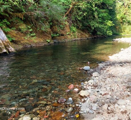 Blue Pool Campground and Day-Use at Salt Creek in Oregon – Blue Pool Stony Shoreline Blue Pool Campground and Day-Use at Salt Creek in Oregon – The picture "Blue Pool Stony Shoreline" displays a view of Salt Creek alongside a rocky, sunlit bank, with lush green trees overhanging the clear water and a person walking in the distance.