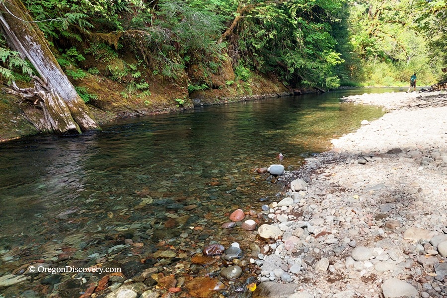 Blue Pool Campground and Day-Use at Salt Creek in Oregon – Blue Pool Stony Shoreline Blue Pool Campground and Day-Use at Salt Creek in Oregon – The picture "Blue Pool Stony Shoreline" displays a view of Salt Creek alongside a rocky, sunlit bank, with lush green trees overhanging the clear water and a person walking in the distance.