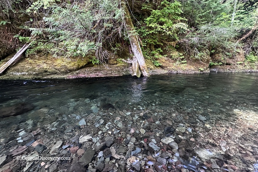 Blue Pool Campground and Day-Use at Salt Creek in Oregon – Blue Pool Crystal Clear WaterBlue Pool Campground and Day-Use at Salt Creek in Oregon – The picture "Blue Pool Crystal Clear Water" features the transparent waters of Salt Creek, where the rocky bottom is visible beneath the surface, with mossy rocks and green forest vegetation along the bank.