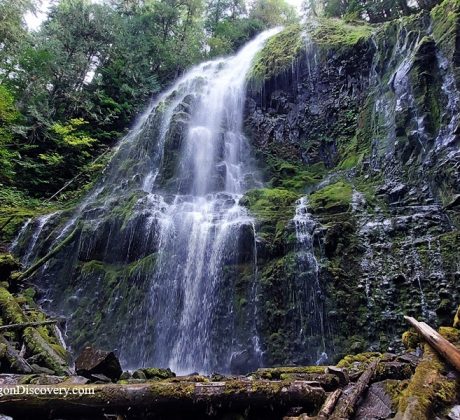 Lower Proxy Falls -McKenzie Pass, Oregon