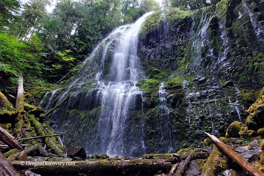 Lower Proxy Falls -McKenzie Pass, Oregon