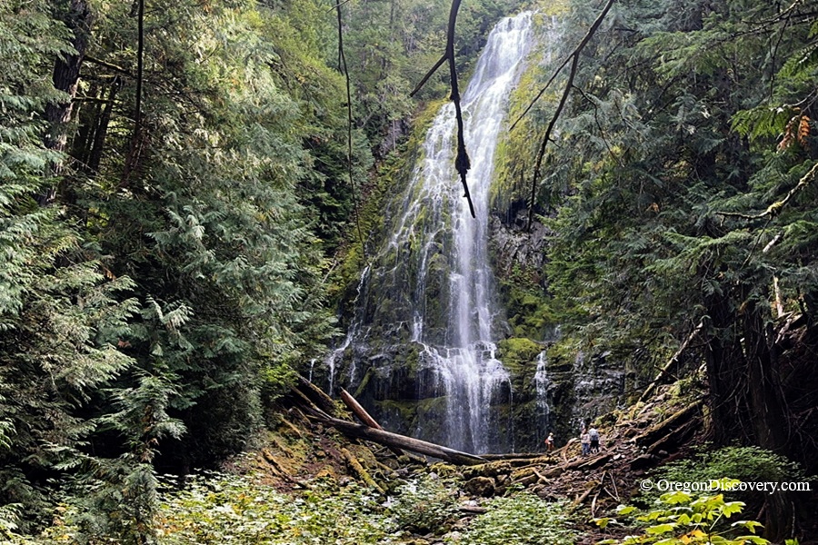 Lower Proxy Falls -McKenzie Pass, Oregon