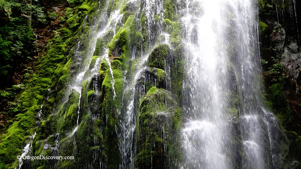 Lower Proxy Falls - McKenzie Pass, Oregon