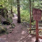 Proxy Falls Hiking Trail - Trailhead, McKenzie Pass, Oregon