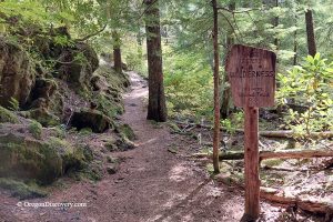 Proxy Falls Hiking Trail - Trailhead, McKenzie Pass, Oregon