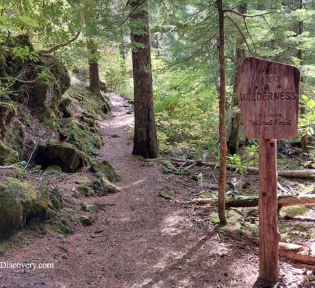 Proxy Falls Hiking Trail - Trailhead, McKenzie Pass, Oregon